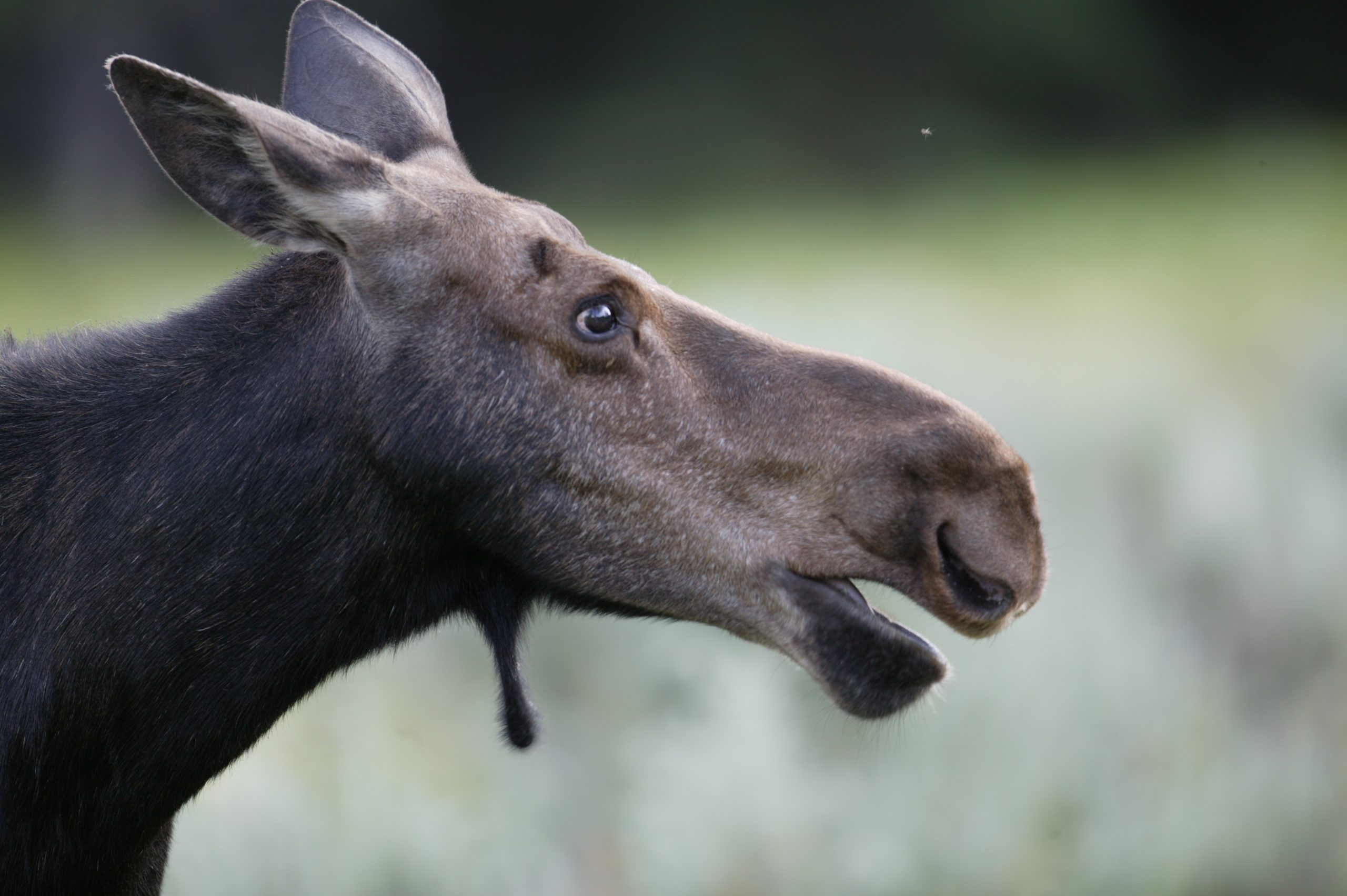 Home 27 915W5783 scaled