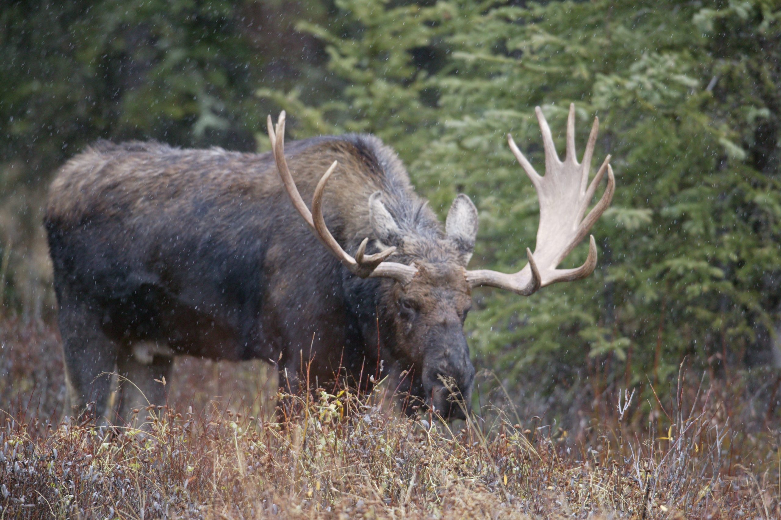 Home 20 915W6913 scaled