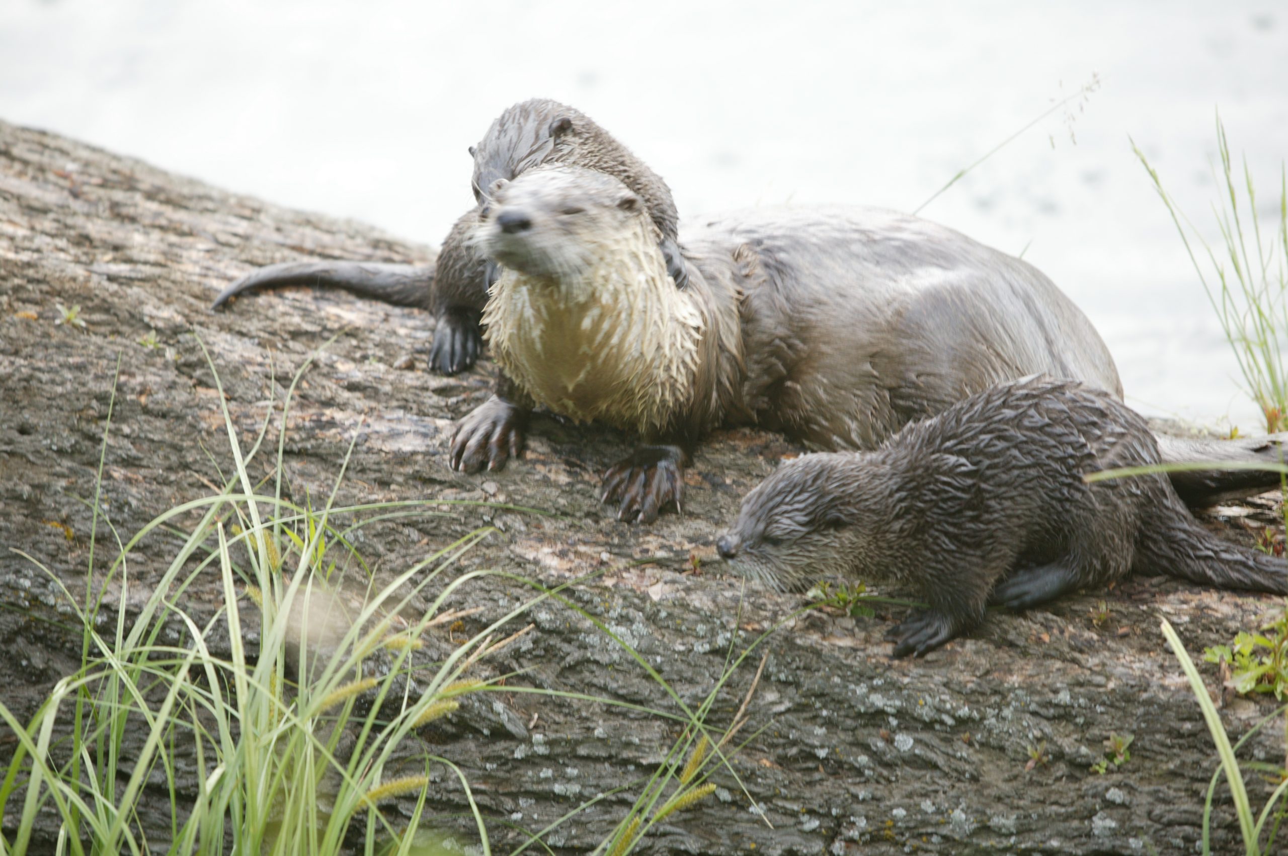 Home 22 915W8512 scaled