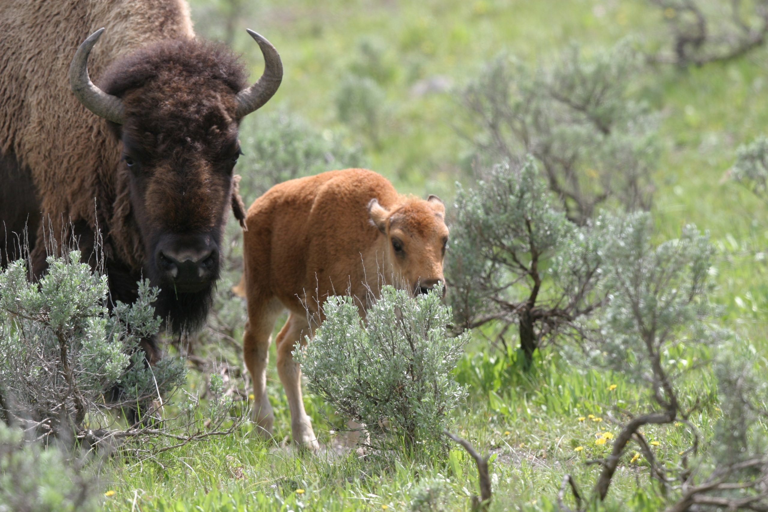 Home 23 IMG 2815 scaled