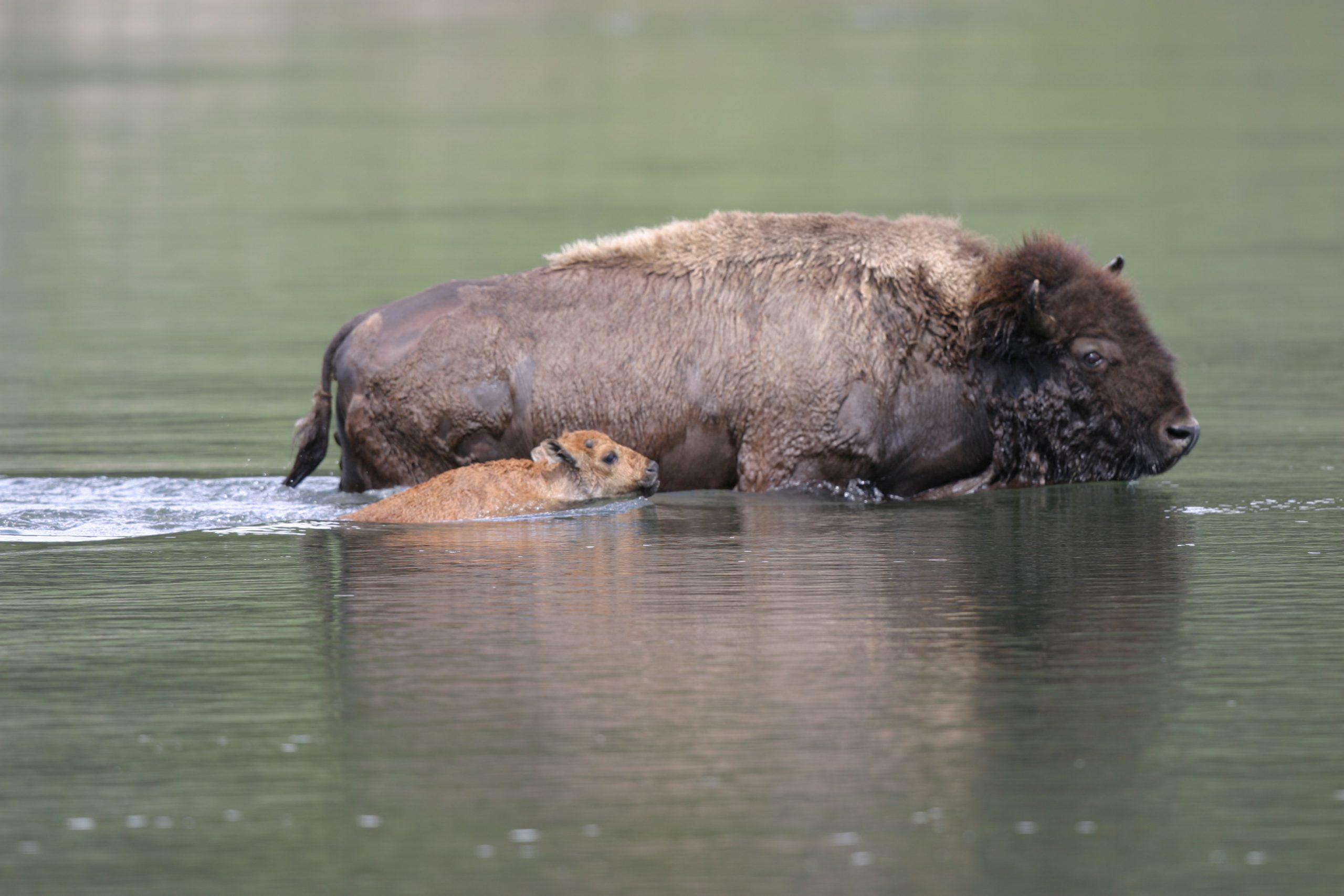 Home 24 IMG 2892 scaled