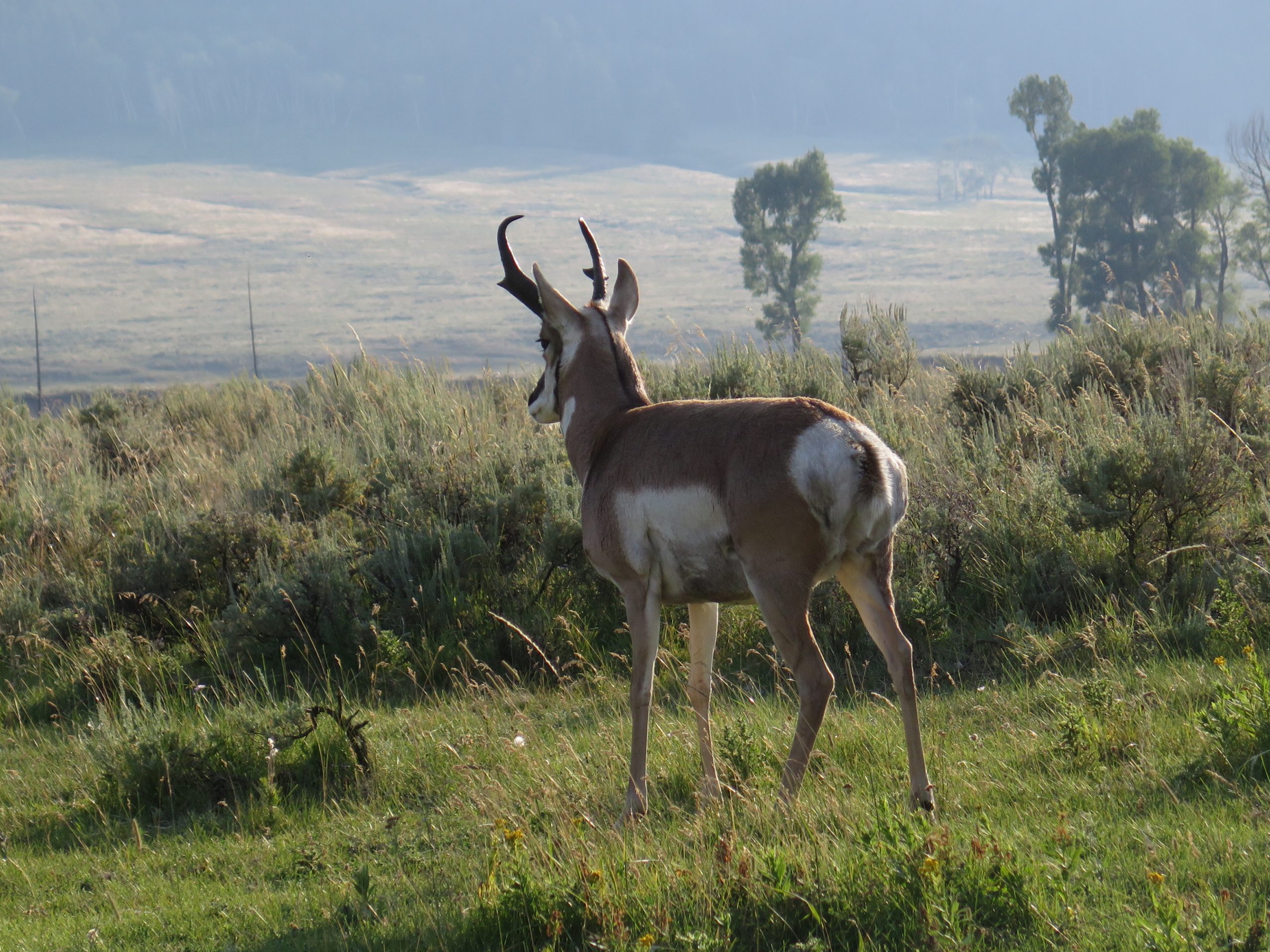 Home 25 IMG 3603 scaled