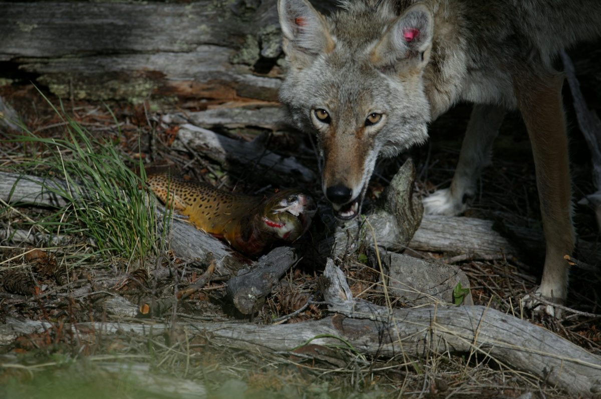 915W5403 scaled e1641707009800