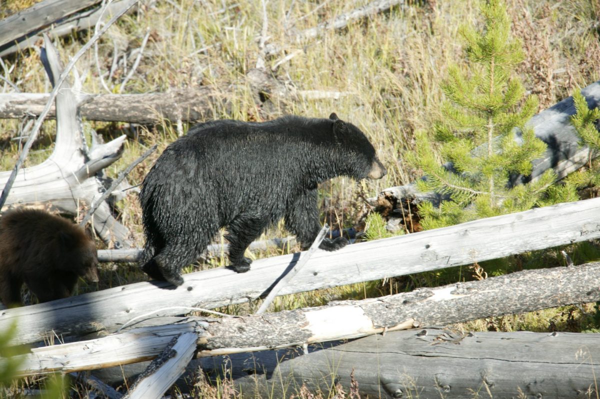 915W6240 scaled e1634784873523